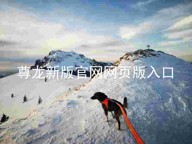 尊龙新版官网网页版入口
