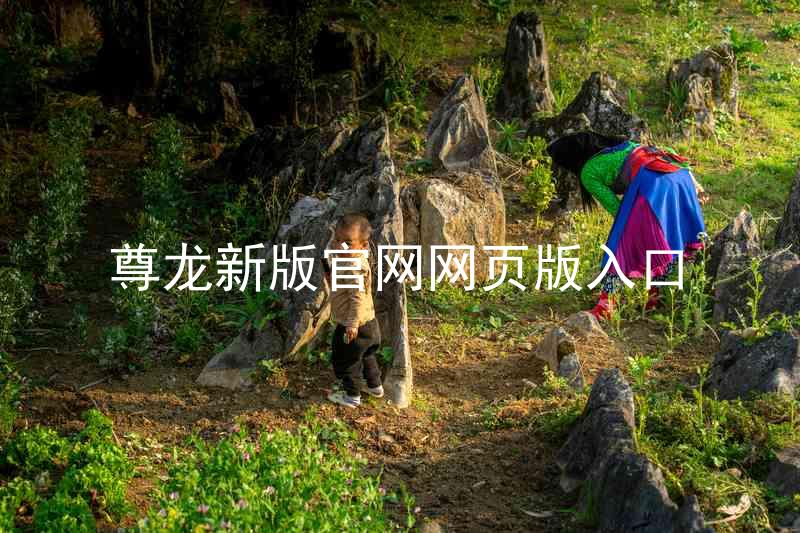 尊龙新版官网网页版入口