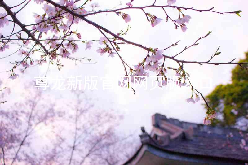 尊龙新版官网网页版入口